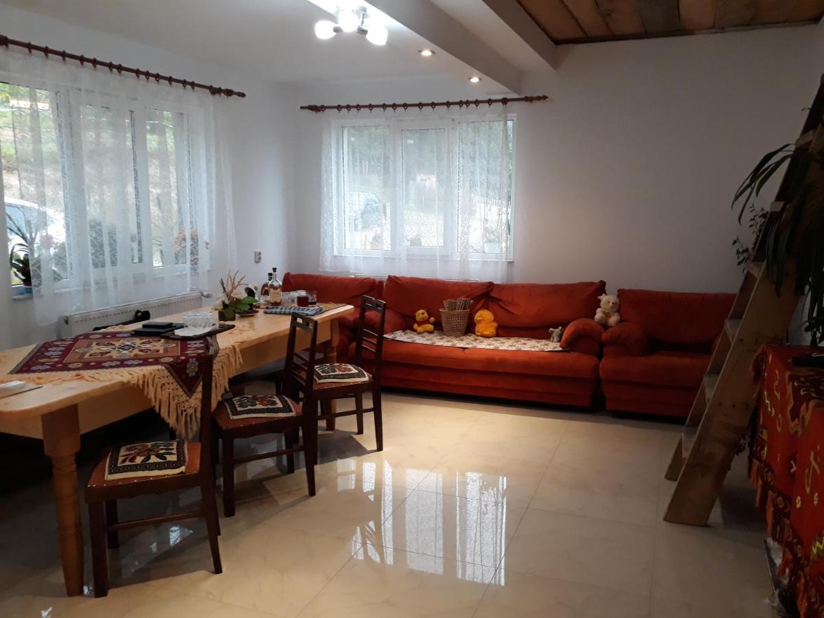 Casa Geanina Bed & Breakfast Colibiţa Dış mekan fotoğraf