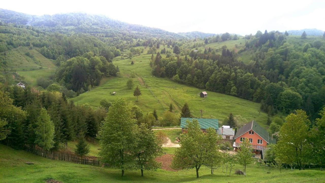 Casa Geanina Bed & Breakfast Colibiţa Dış mekan fotoğraf