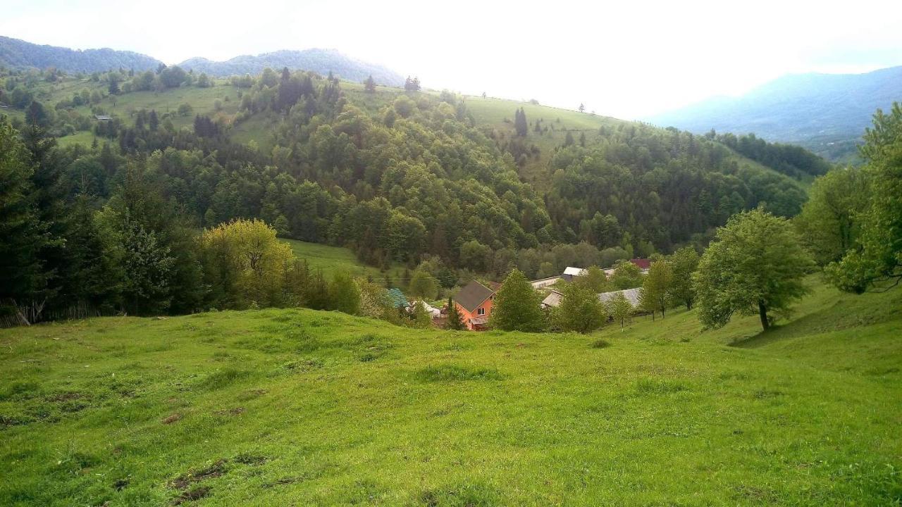 Casa Geanina Bed & Breakfast Colibiţa Dış mekan fotoğraf