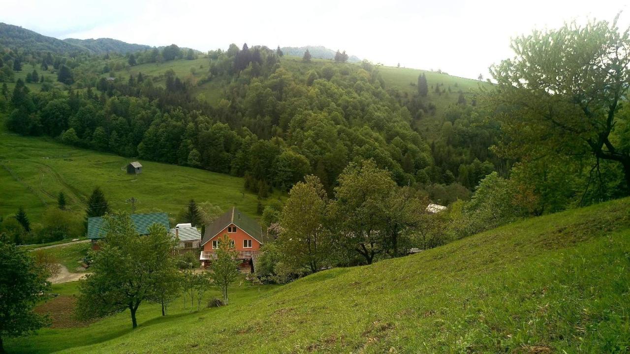 Casa Geanina Bed & Breakfast Colibiţa Dış mekan fotoğraf