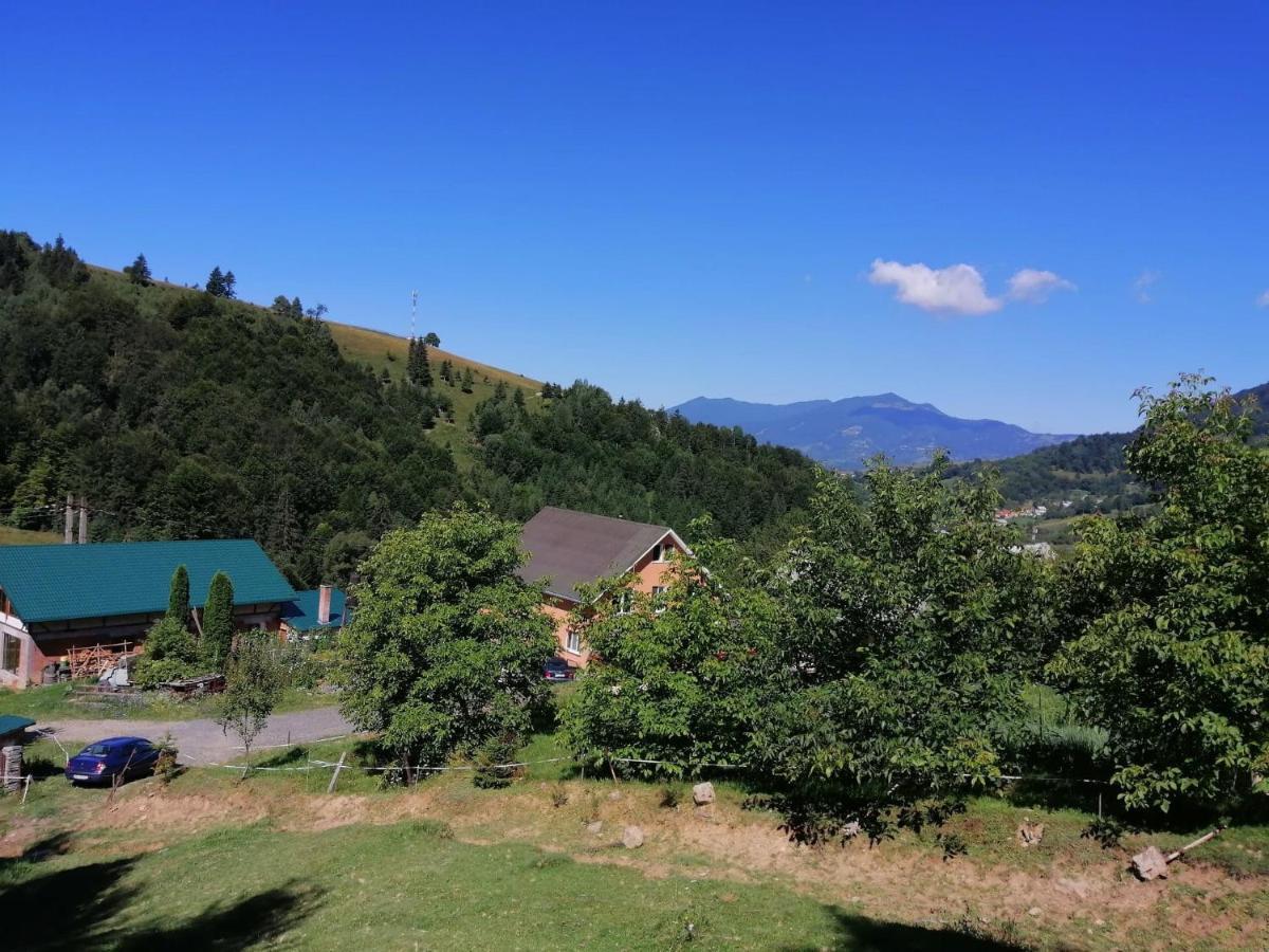 Casa Geanina Bed & Breakfast Colibiţa Dış mekan fotoğraf