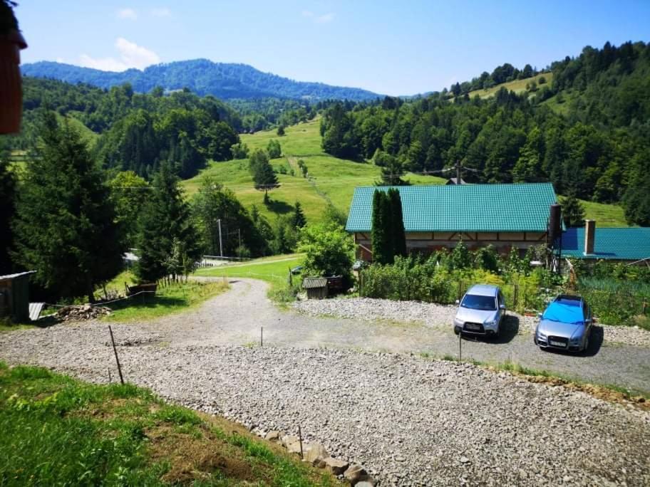 Casa Geanina Bed & Breakfast Colibiţa Dış mekan fotoğraf