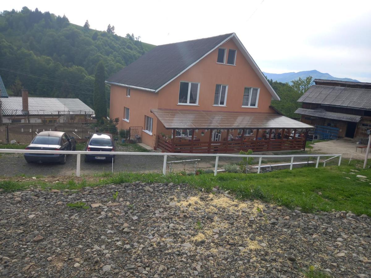 Casa Geanina Bed & Breakfast Colibiţa Dış mekan fotoğraf