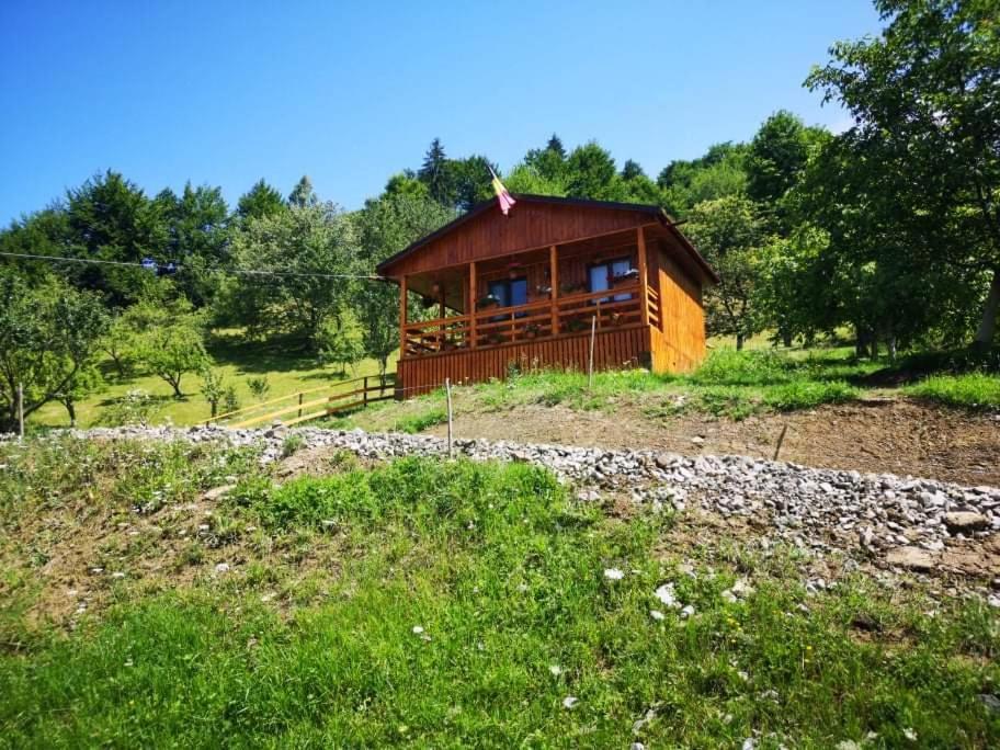 Casa Geanina Bed & Breakfast Colibiţa Dış mekan fotoğraf