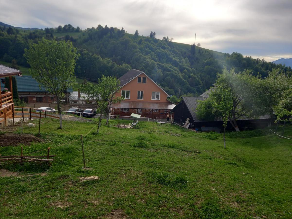 Casa Geanina Bed & Breakfast Colibiţa Dış mekan fotoğraf