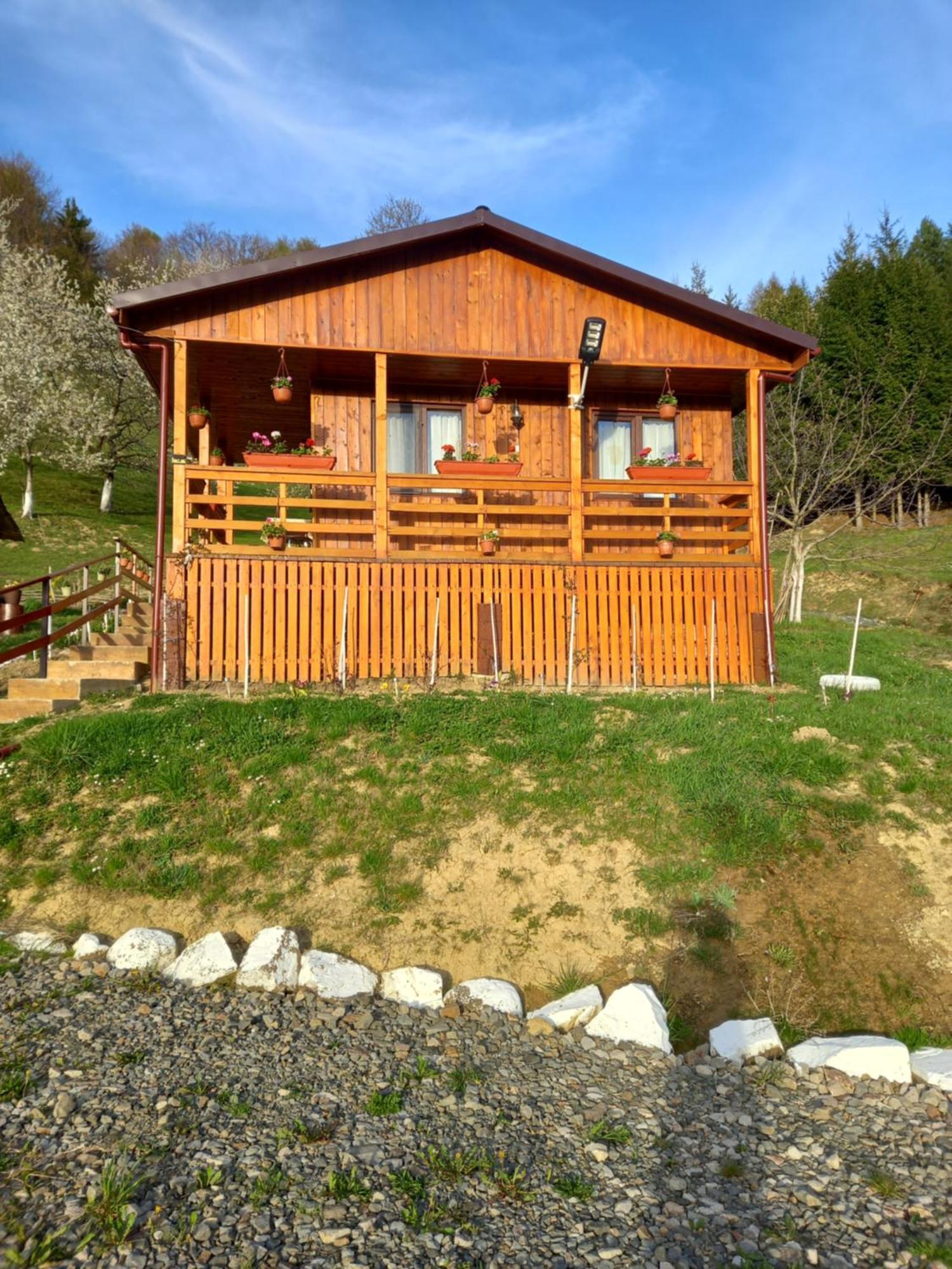 Casa Geanina Bed & Breakfast Colibiţa Dış mekan fotoğraf