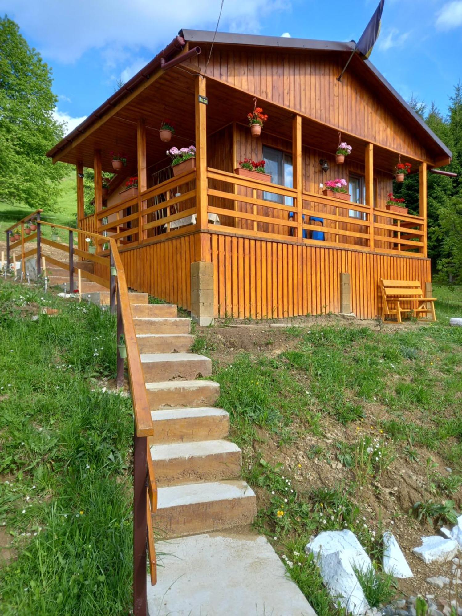 Casa Geanina Bed & Breakfast Colibiţa Dış mekan fotoğraf