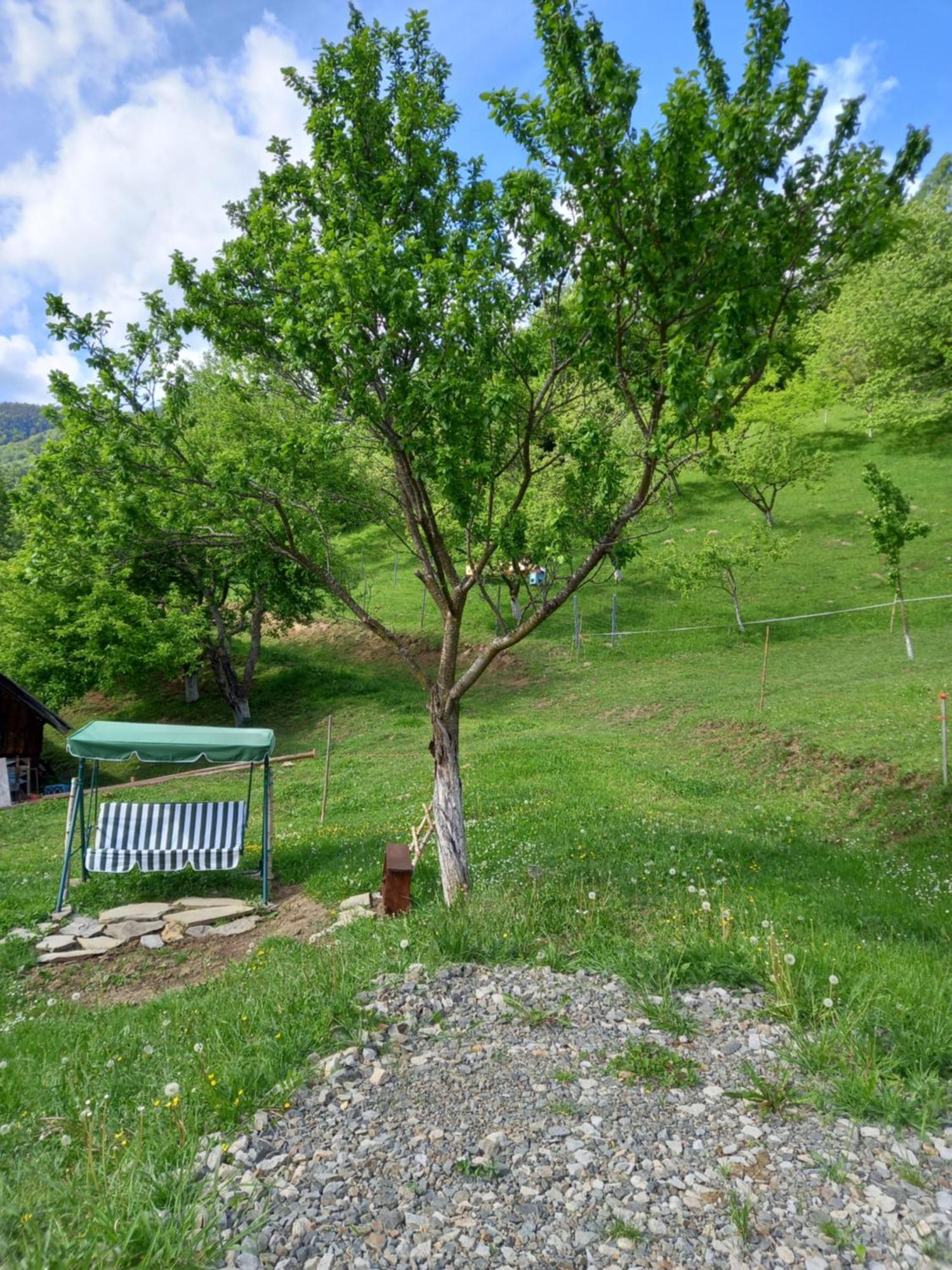 Casa Geanina Bed & Breakfast Colibiţa Dış mekan fotoğraf