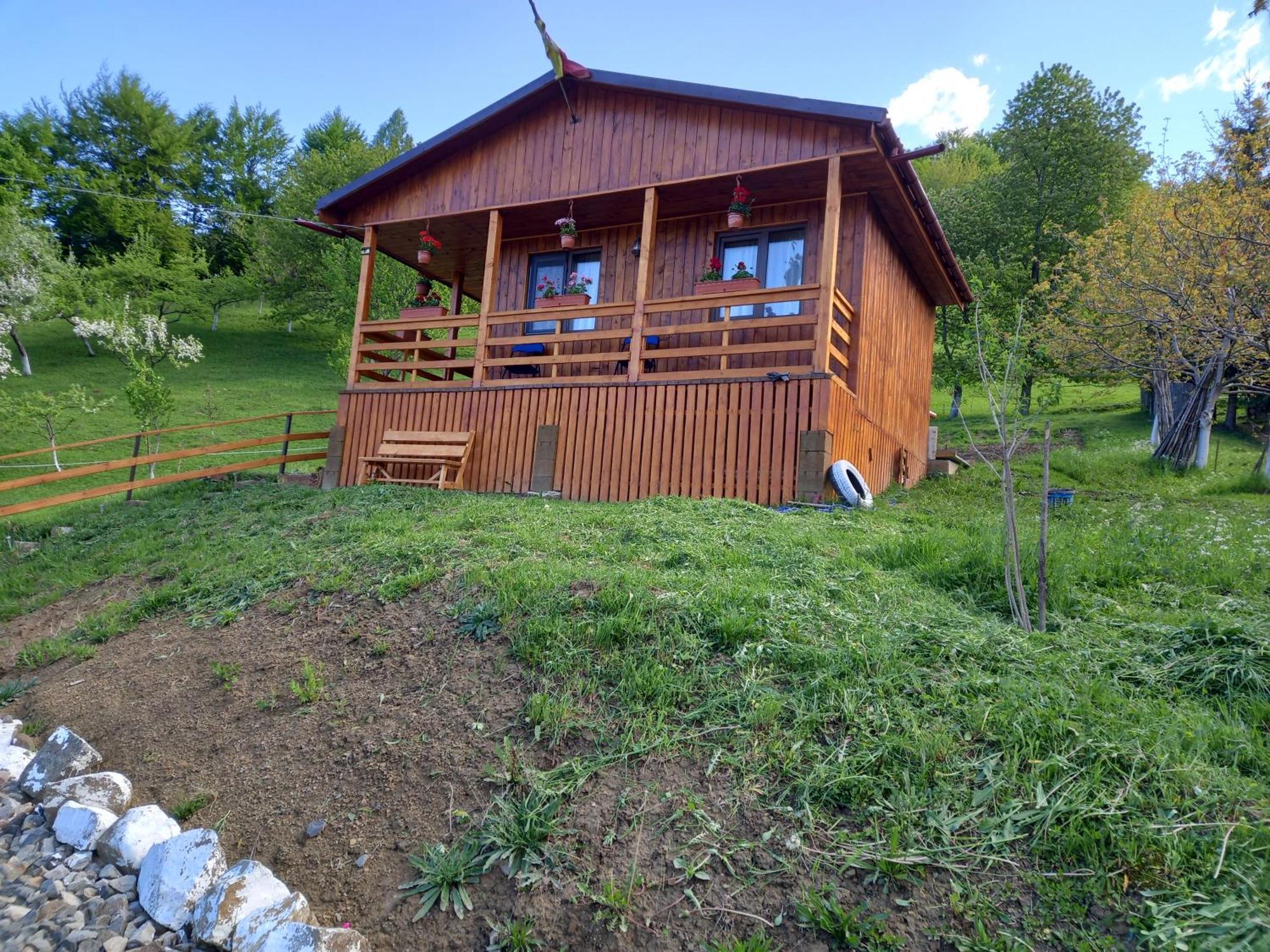 Casa Geanina Bed & Breakfast Colibiţa Dış mekan fotoğraf