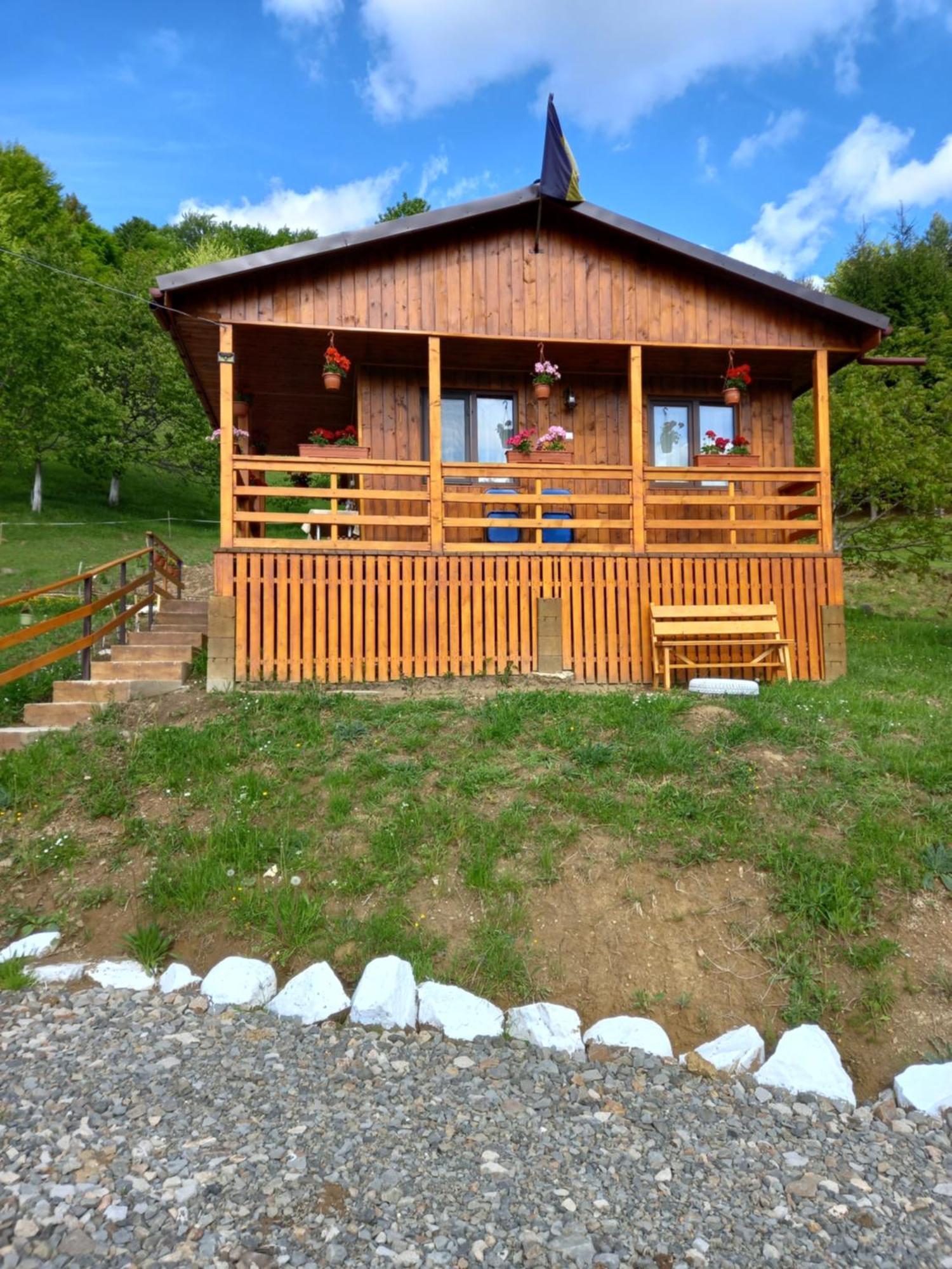 Casa Geanina Bed & Breakfast Colibiţa Dış mekan fotoğraf