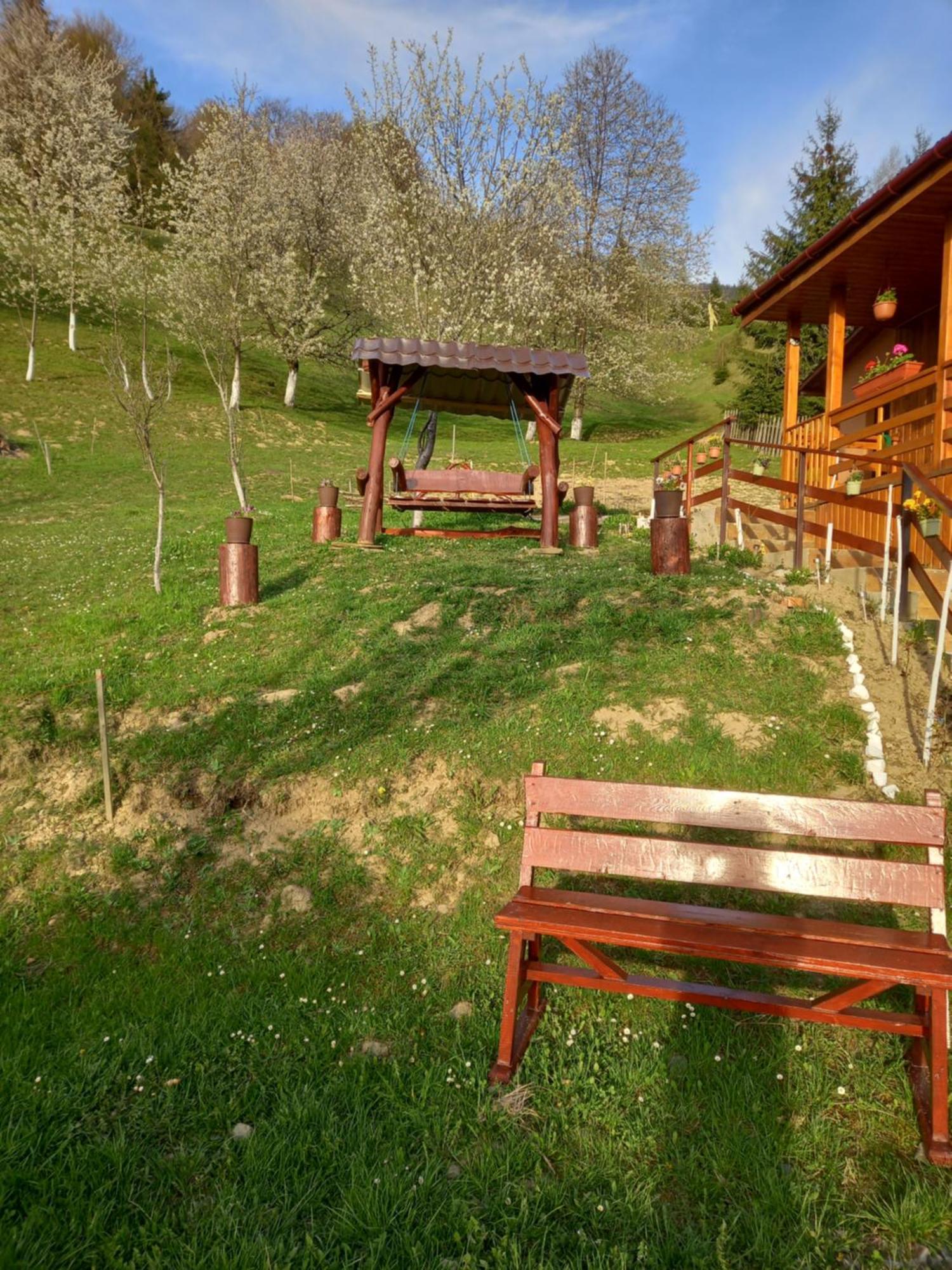 Casa Geanina Bed & Breakfast Colibiţa Dış mekan fotoğraf