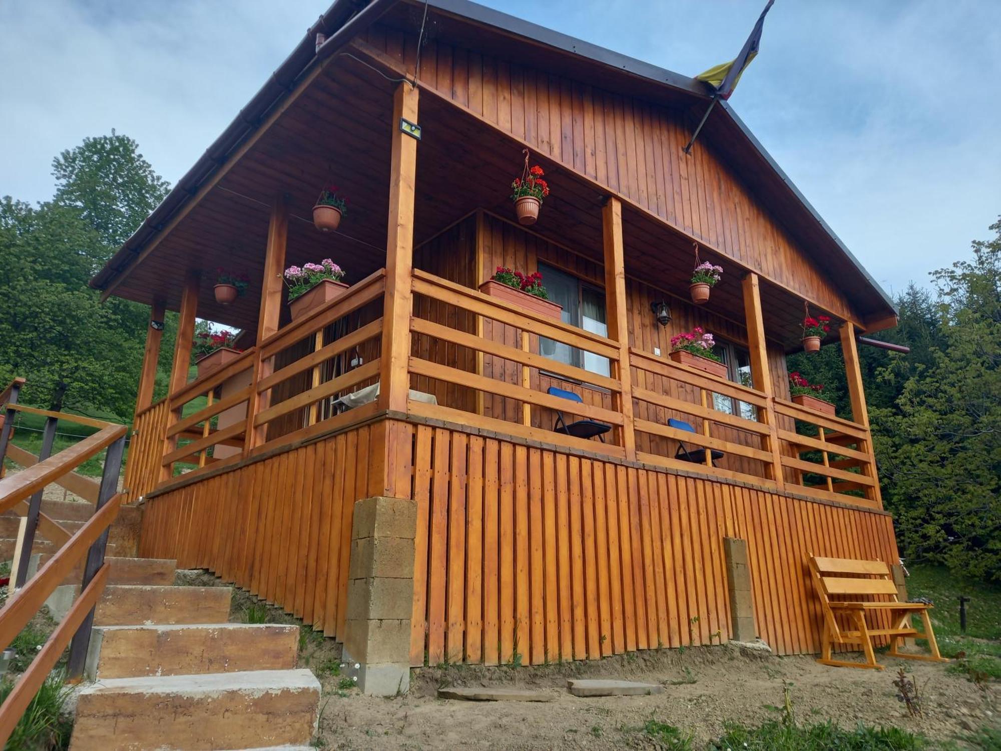 Casa Geanina Bed & Breakfast Colibiţa Dış mekan fotoğraf