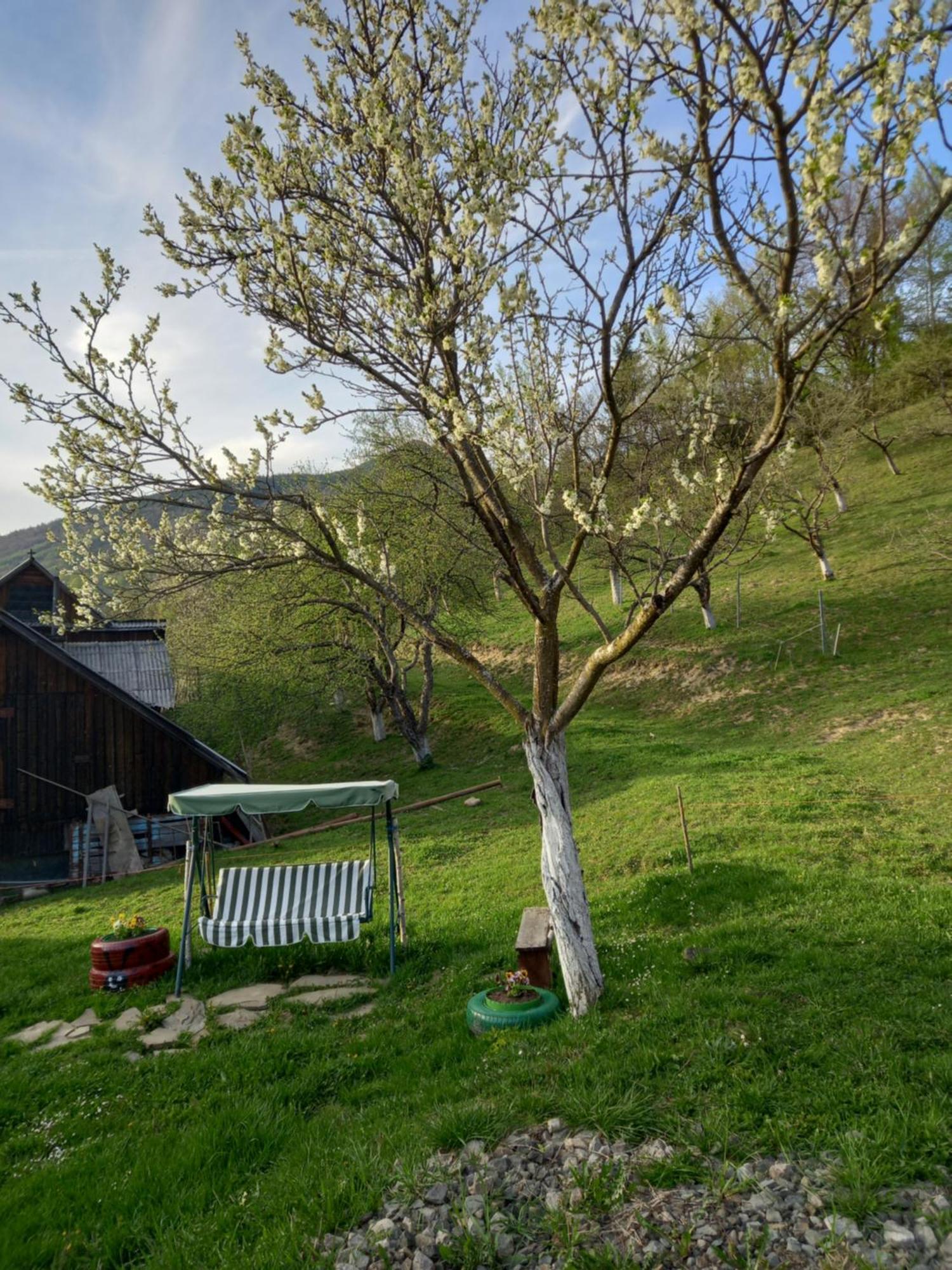 Casa Geanina Bed & Breakfast Colibiţa Dış mekan fotoğraf