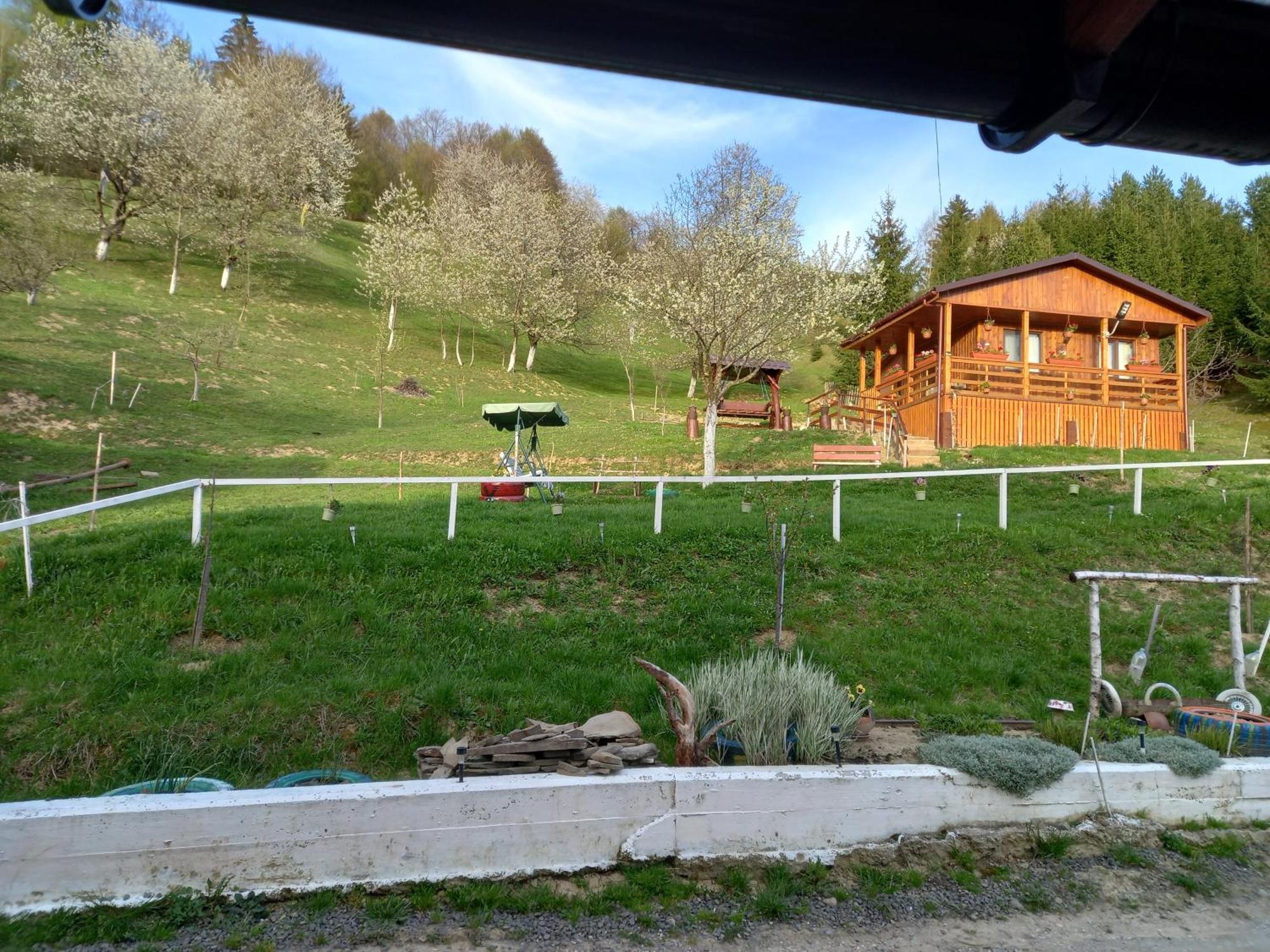 Casa Geanina Bed & Breakfast Colibiţa Dış mekan fotoğraf