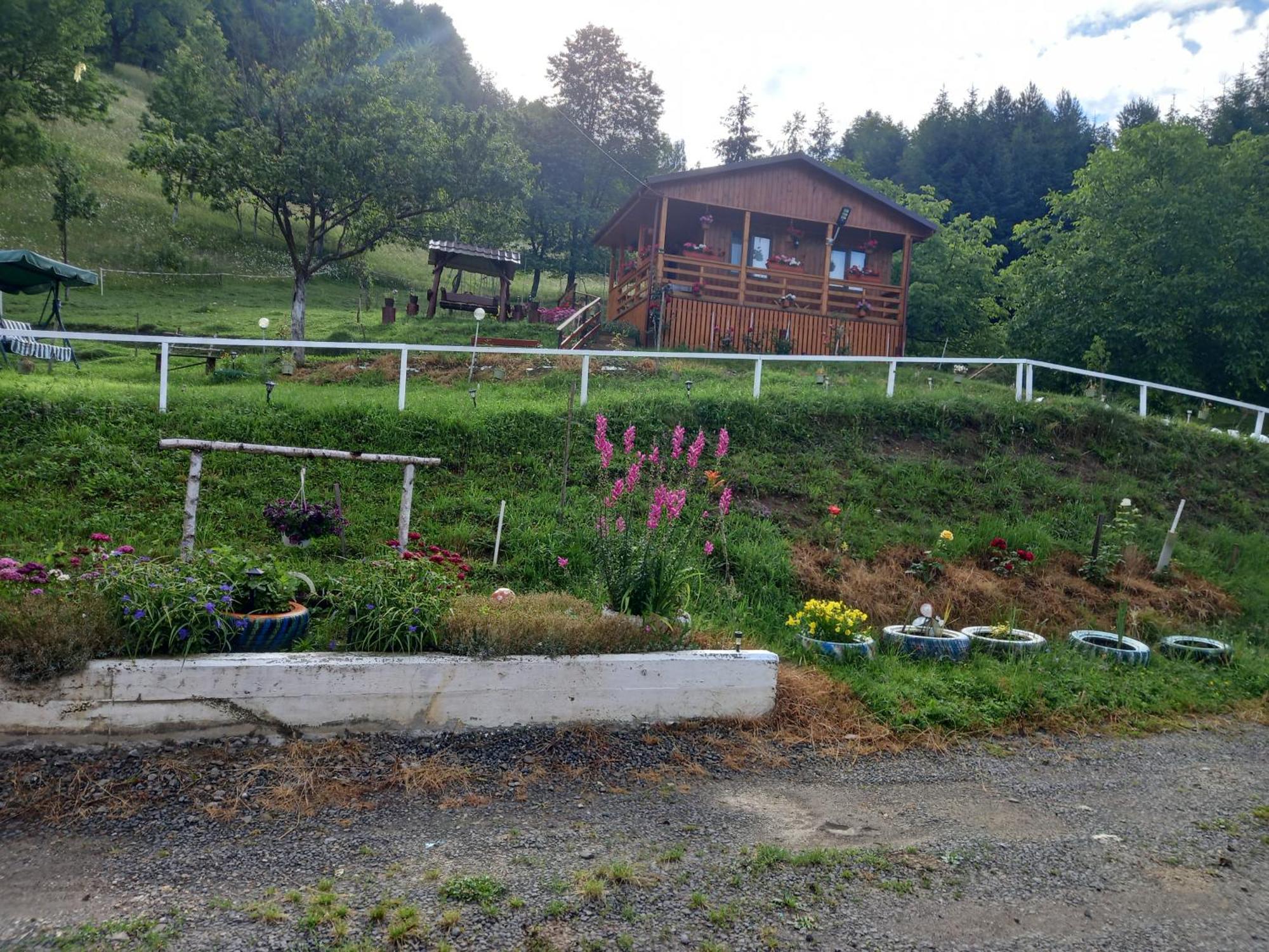Casa Geanina Bed & Breakfast Colibiţa Dış mekan fotoğraf