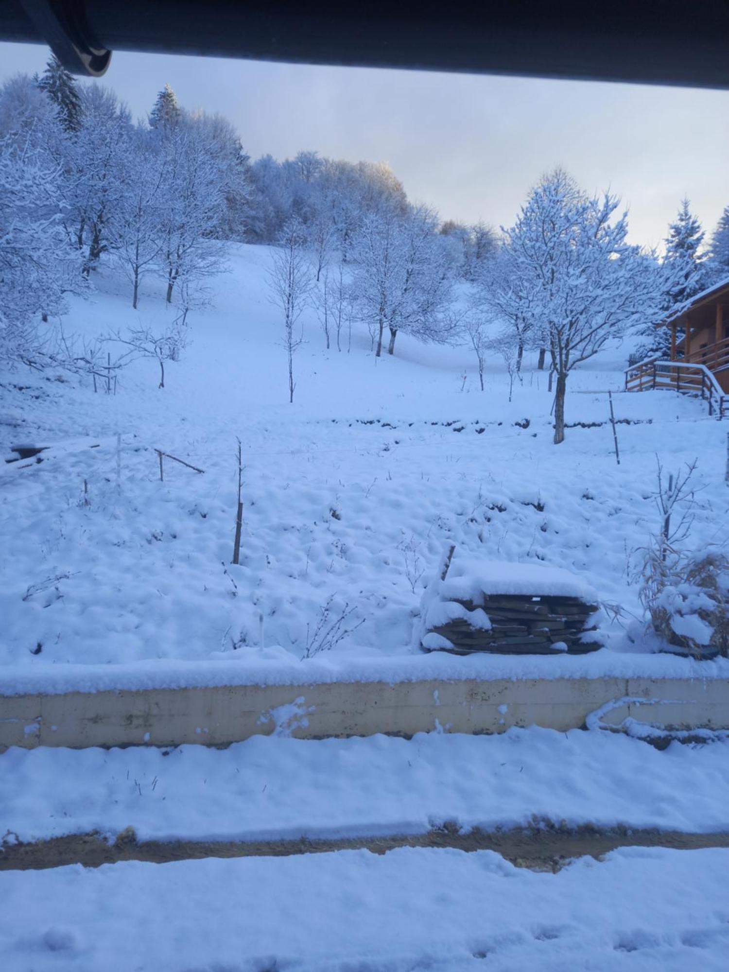 Casa Geanina Bed & Breakfast Colibiţa Dış mekan fotoğraf