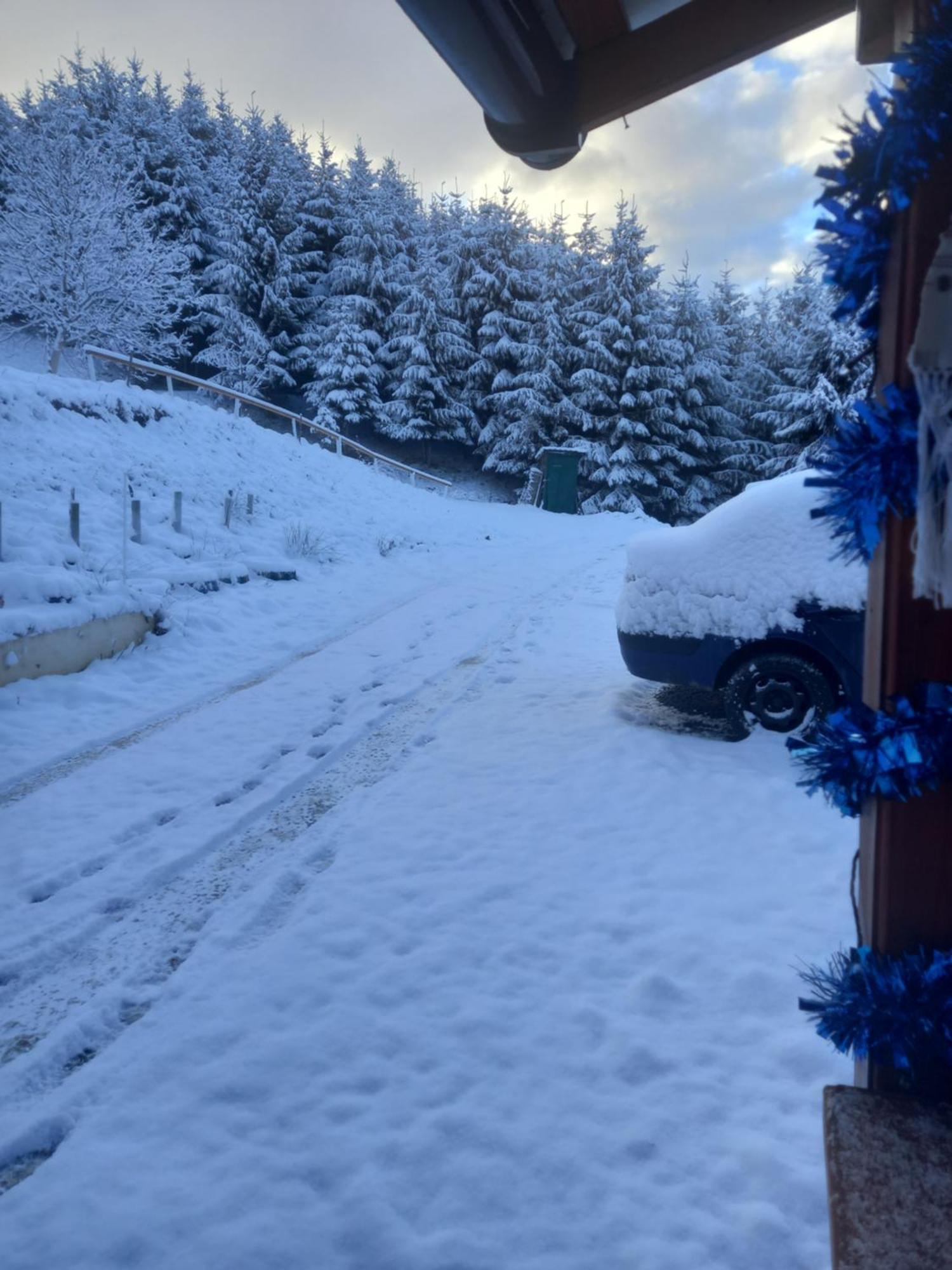 Casa Geanina Bed & Breakfast Colibiţa Dış mekan fotoğraf