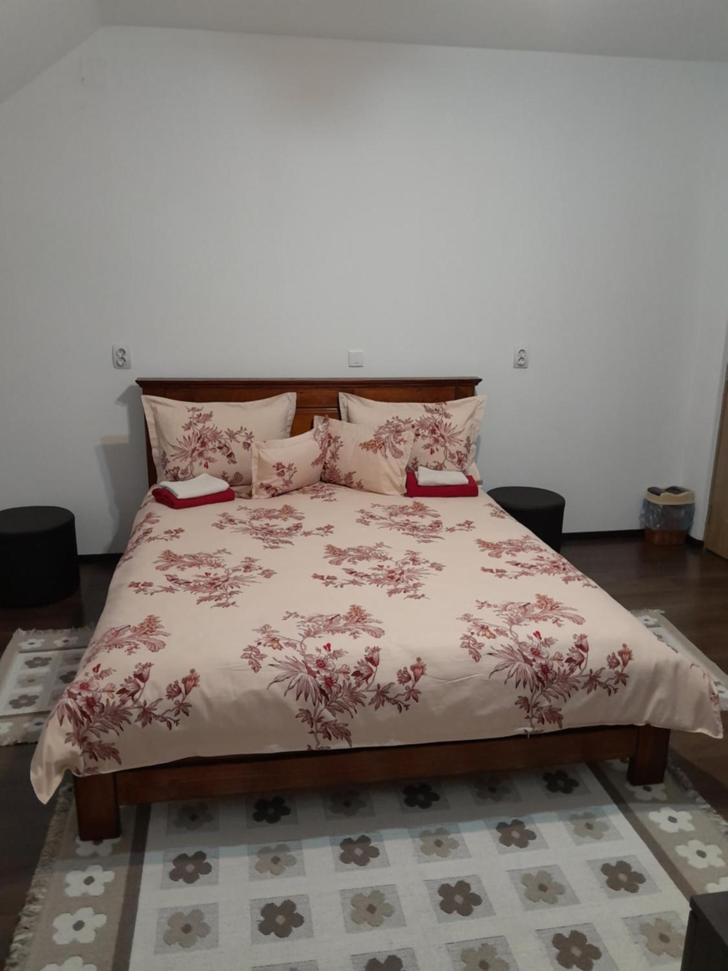 Casa Geanina Bed & Breakfast Colibiţa Dış mekan fotoğraf