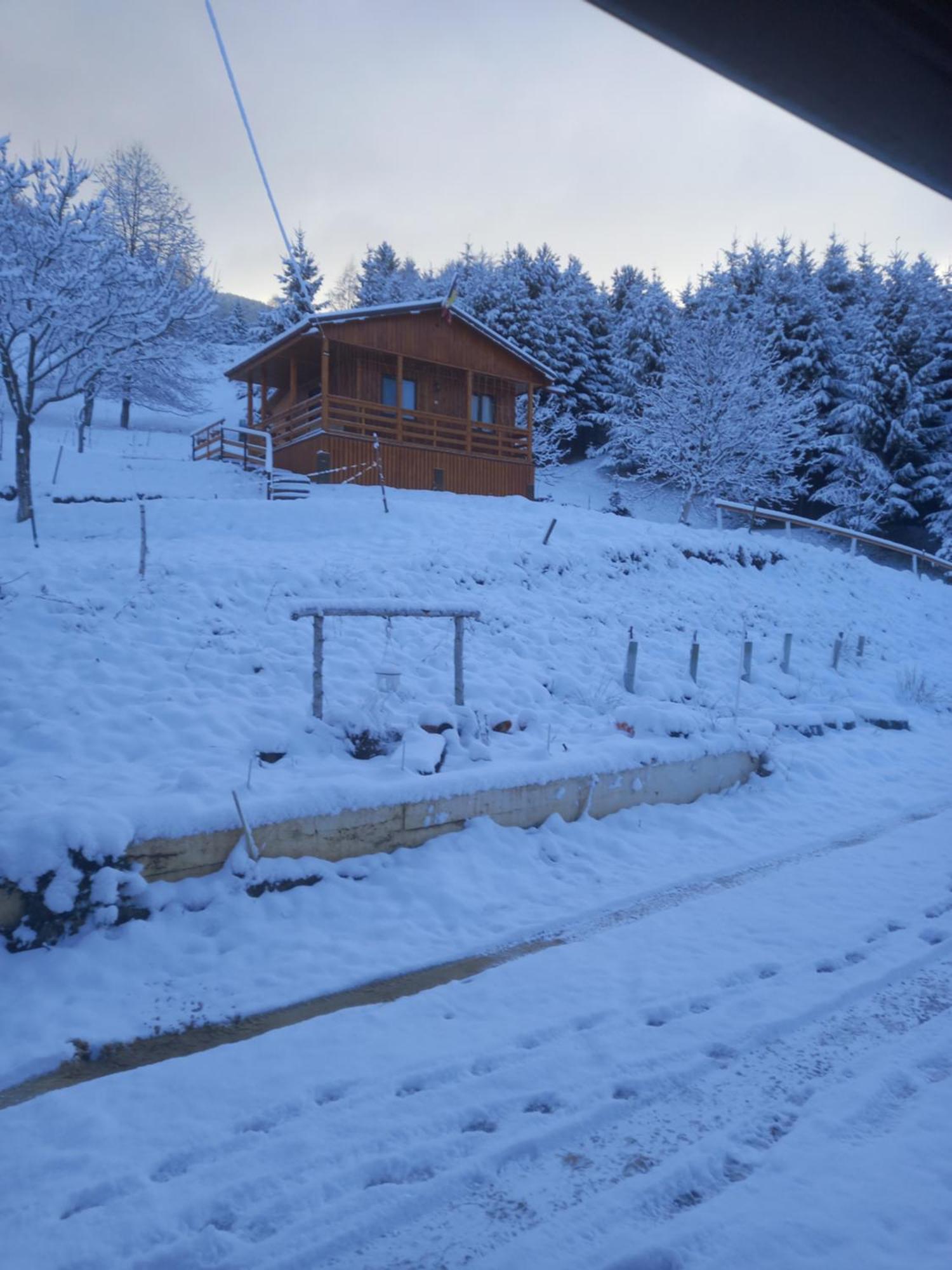 Casa Geanina Bed & Breakfast Colibiţa Dış mekan fotoğraf