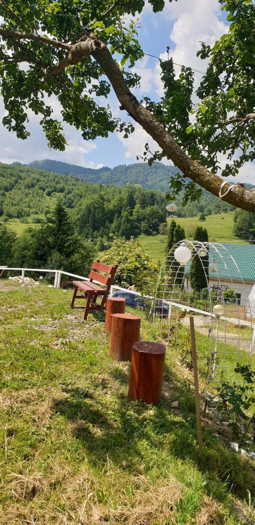 Casa Geanina Bed & Breakfast Colibiţa Dış mekan fotoğraf