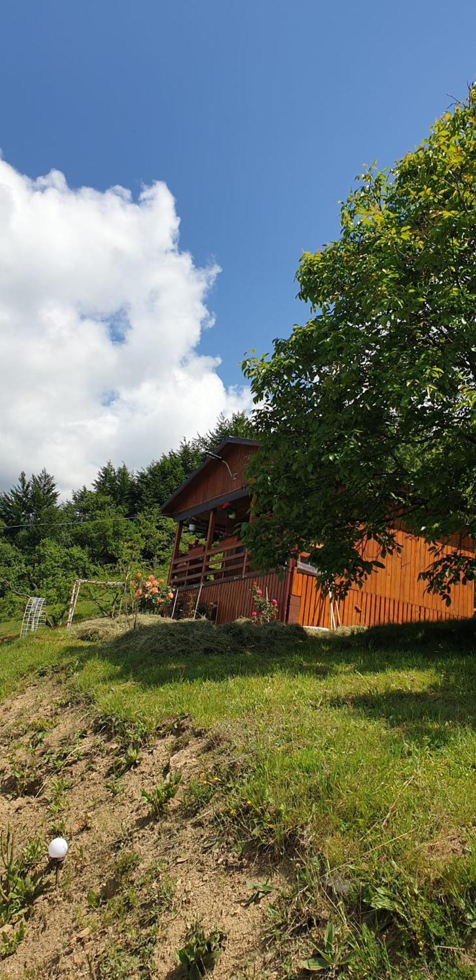 Casa Geanina Bed & Breakfast Colibiţa Dış mekan fotoğraf