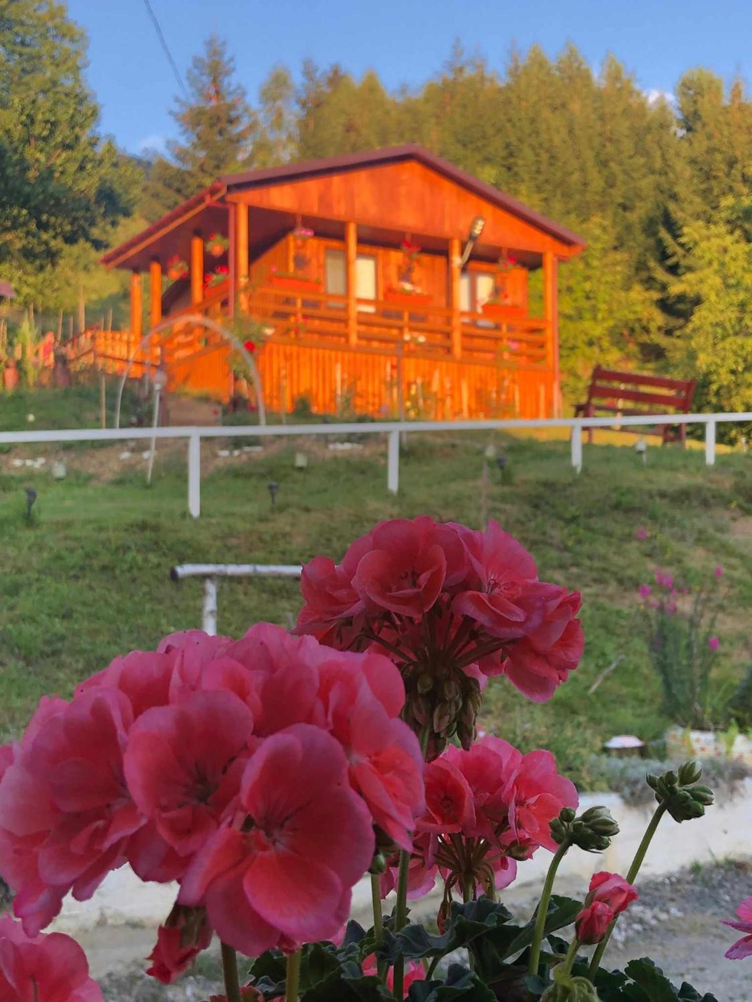 Casa Geanina Bed & Breakfast Colibiţa Dış mekan fotoğraf