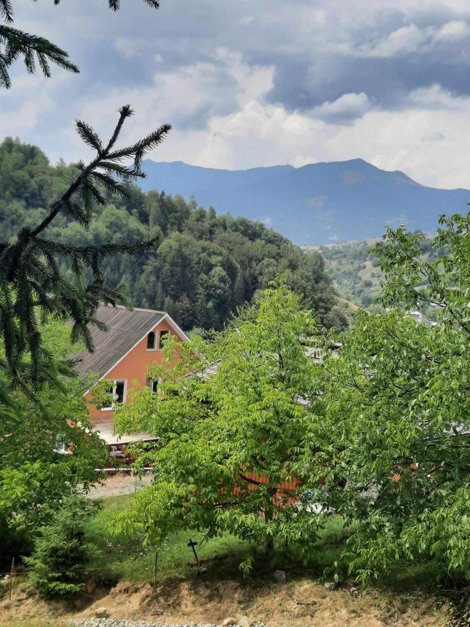 Casa Geanina Bed & Breakfast Colibiţa Dış mekan fotoğraf