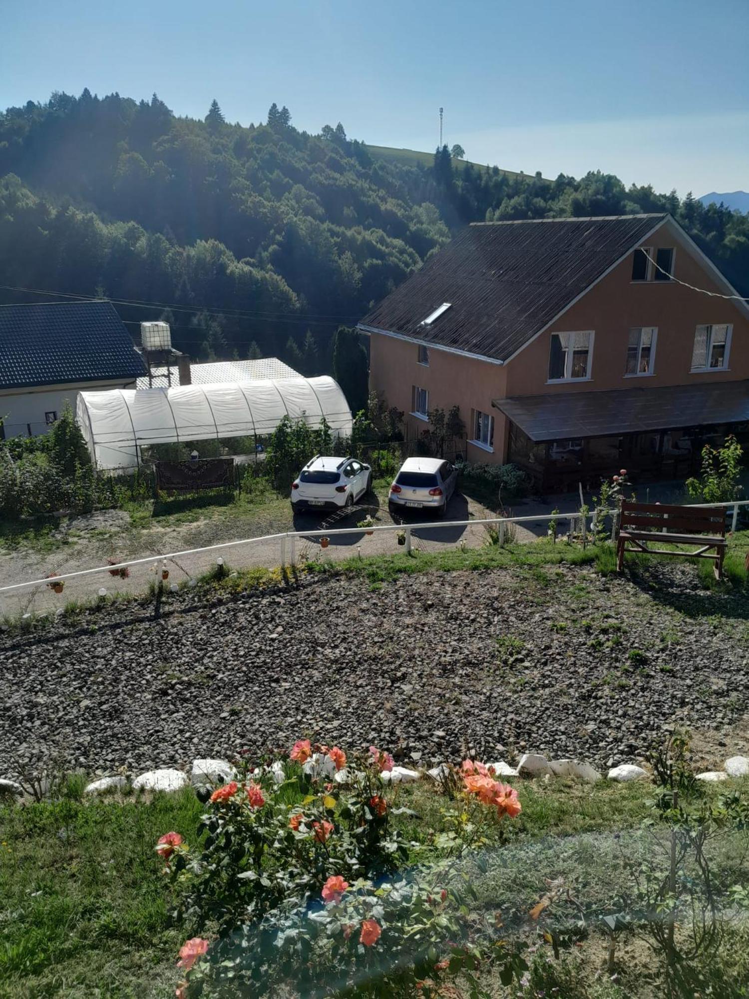Casa Geanina Bed & Breakfast Colibiţa Dış mekan fotoğraf