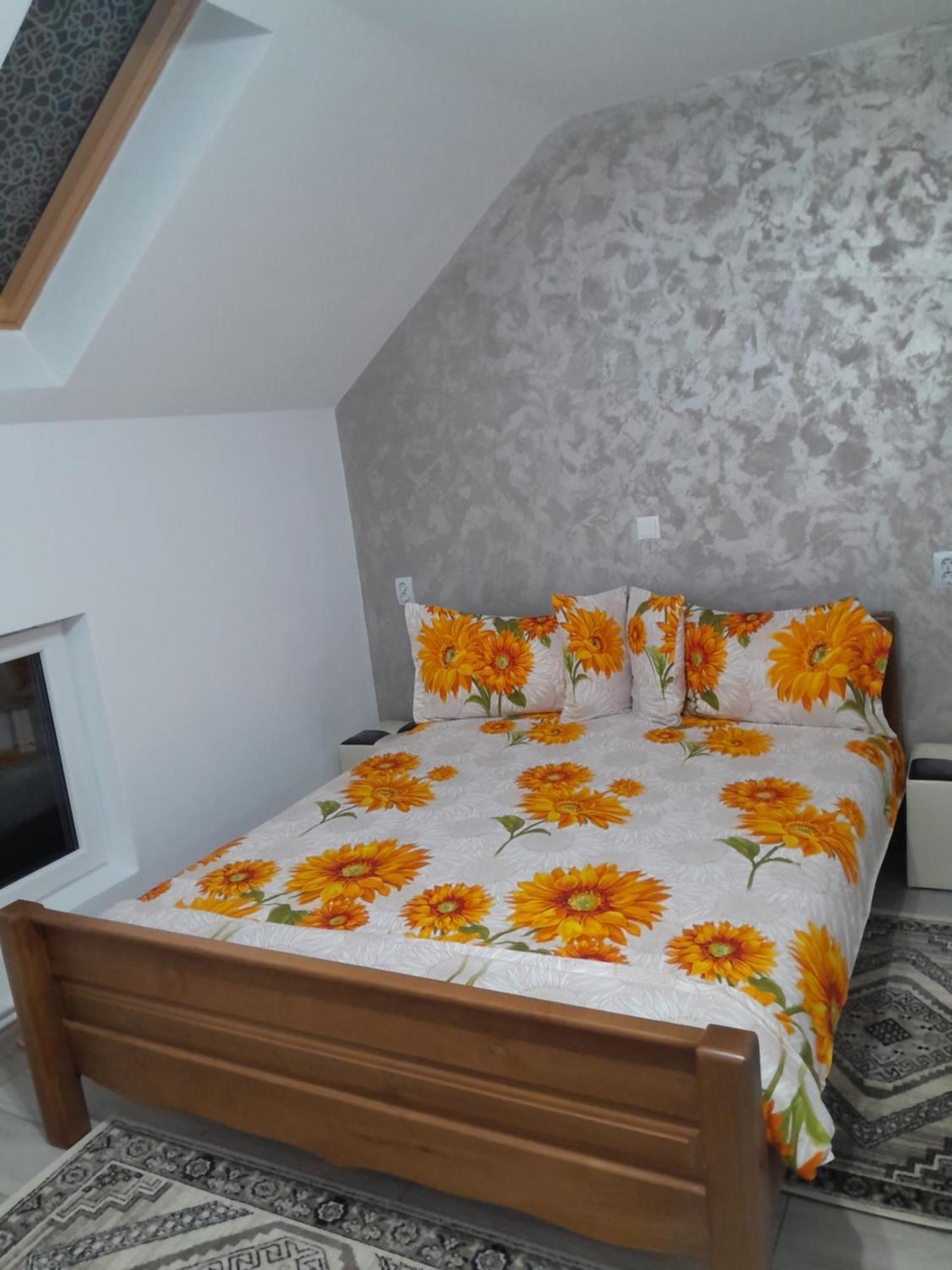 Casa Geanina Bed & Breakfast Colibiţa Dış mekan fotoğraf